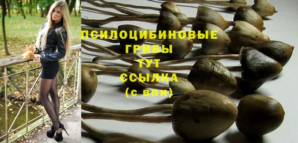 прущие крисы Алексин
