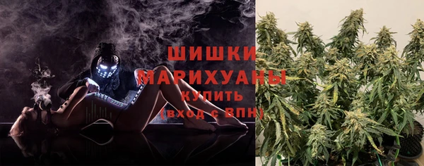 трава Медвежьегорск